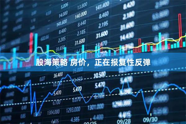 股海策略 房价，正在报复性反弹