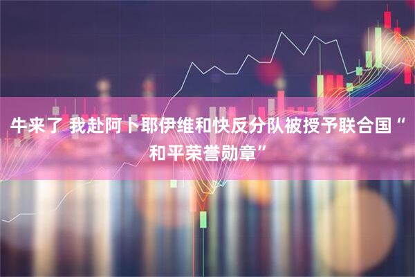 牛来了 我赴阿卜耶伊维和快反分队被授予联合国“和平荣誉勋章”