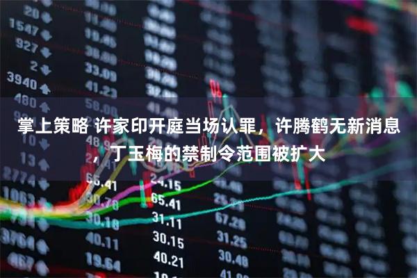 掌上策略 许家印开庭当场认罪，许腾鹤无新消息，丁玉梅的禁制令范围被扩大