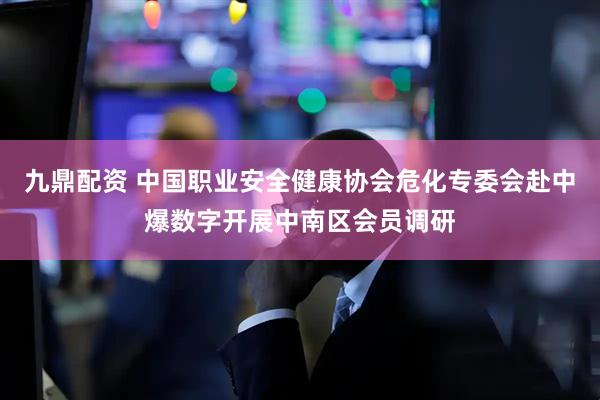 九鼎配资 中国职业安全健康协会危化专委会赴中爆数字开展中南区会员调研