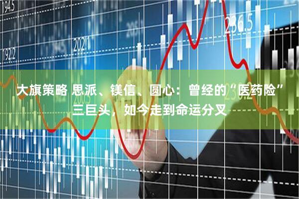 大旗策略 思派、镁信、圆心：曾经的“医药险”三巨头，如今走到命运分叉